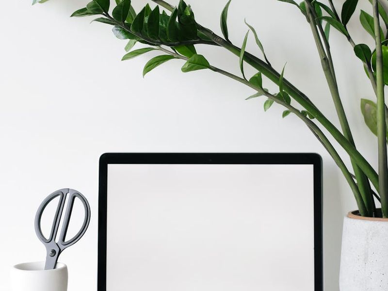 A clean, minimalist workspace with a laptop and a plant.