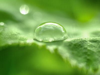 Dew drops on a green leaf, symbolizing freshness and clarity.