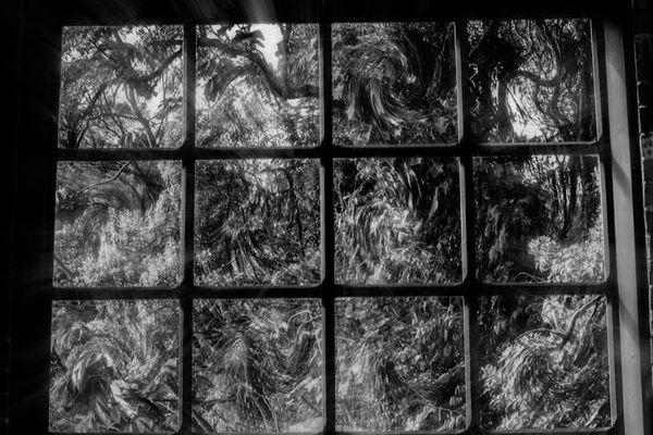 Person sitting calmly by a window, looking out at a peaceful natural scene.